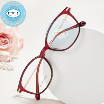 Gọng nhựa nữ mã 2613